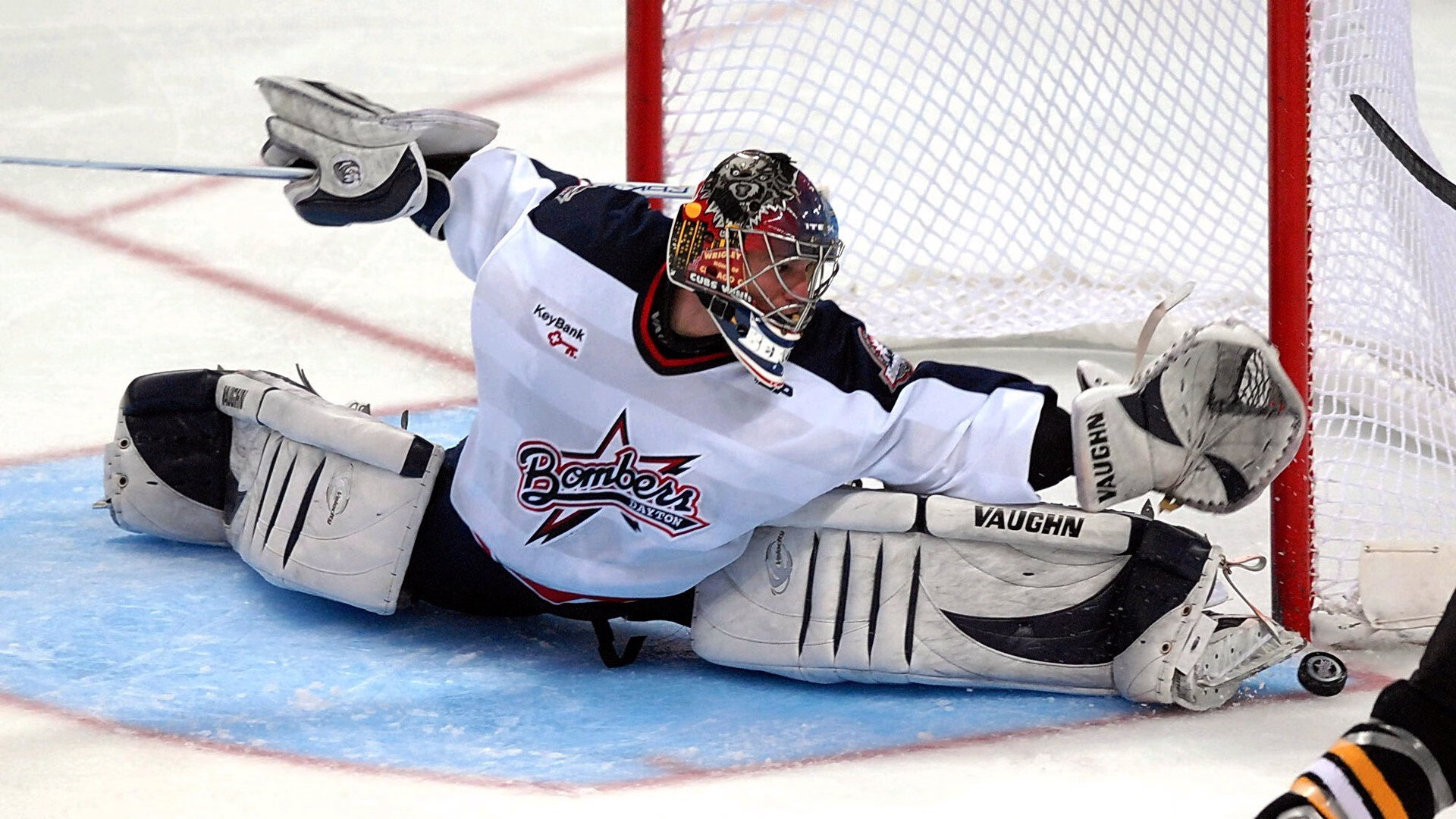 “南非羚羊队的复兴之路:萨尔·巴赫的关键作用”